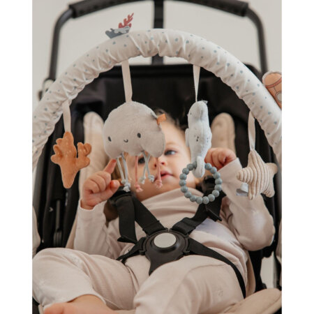 קשת פעילות לעגלה מיננה – Minene