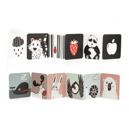 ספרון קרטון לתינוק טוויגי – Twigy Baby Carton Book