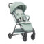טיולון צ’יקו טאורמינה ירוק מרווה – Chicco Taormina Stroller Sage